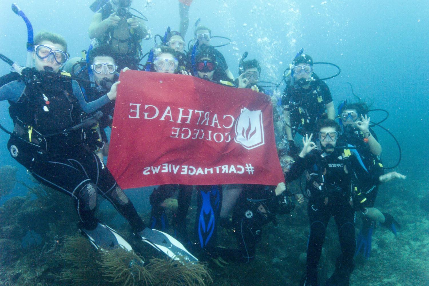 学生们手持<a href='http://vppj.ngskmc-eis.net'>博彩网址大全</a>旗帜，在j学期洪都拉斯游学之旅中潜水.
